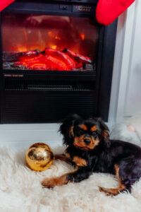 studio karo fotosessioon jõulunurgas